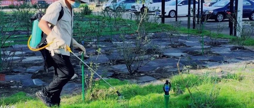 预防为上，守护健康！金顺盈除“四害”消杀进行时！还有除“四害”小妙招快收藏