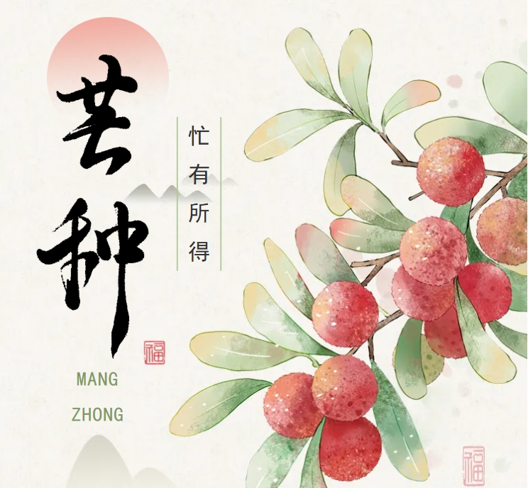 芒种 | 祝拼搏的你，忙有所得、忙有所成