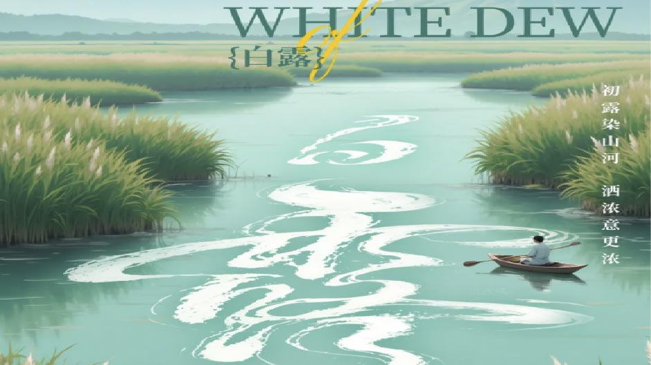 白露 · 创业志 | 天地收敛时，正是深耕日