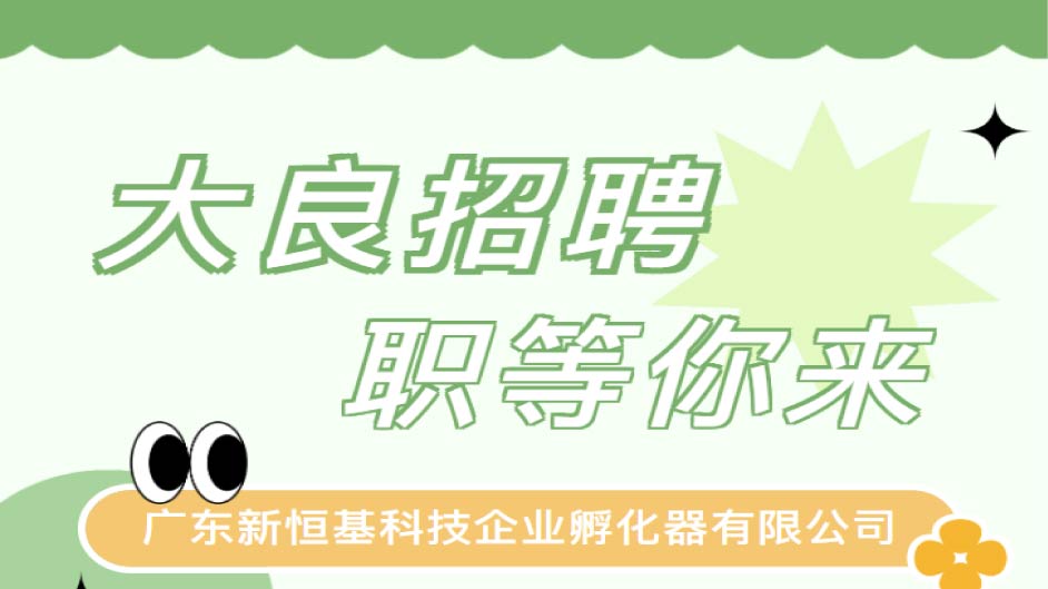 【大良招聘，职等你来】客服经理、工程文员、文案策划推广专业等多岗等你来投哦！