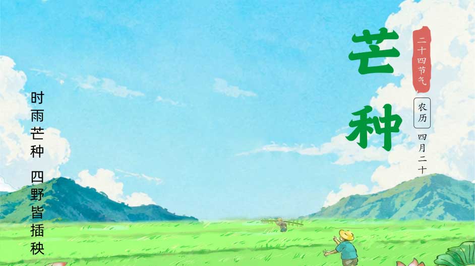 芒种丨忙而不茫，创业者的播种与收获哲学
