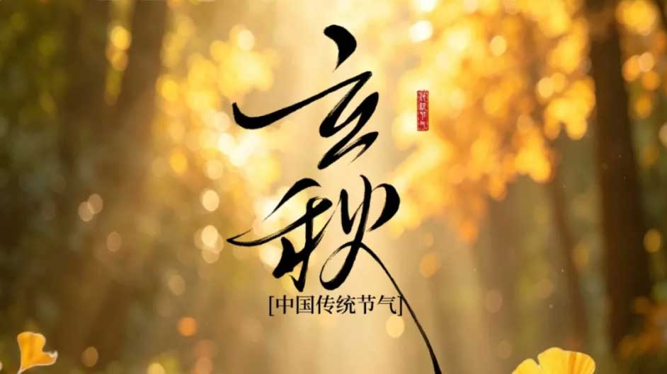 今日立秋 丨创业如四季，熬过夏的热烈，才懂秋的深沉
