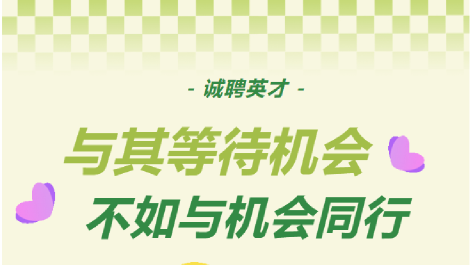 这是一份认真的招聘邀约：策划/会计虚位以待